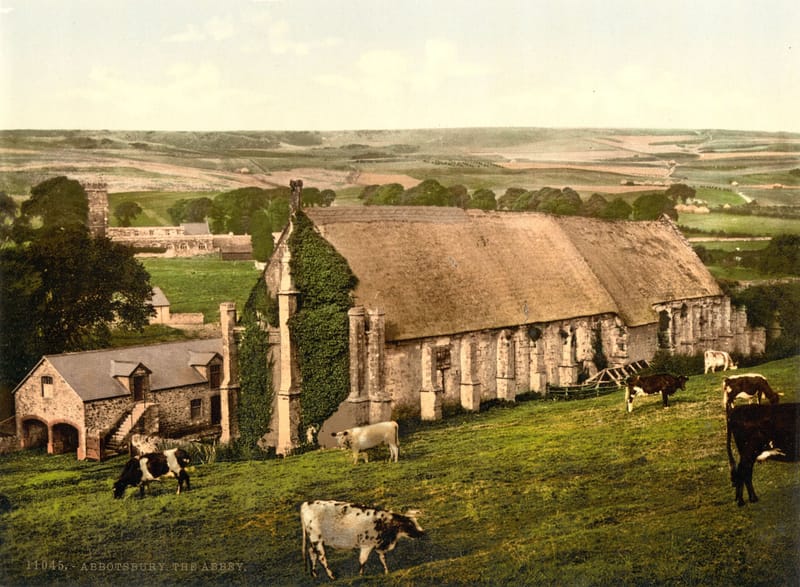 A long thatched barn among cattle in a field, with the green country rolling away behind.