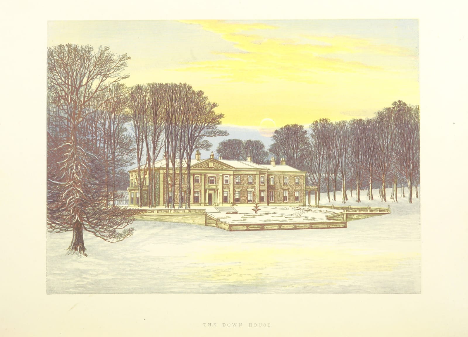 A low white house among tall trees under a yellow winter sky, with snow on the ground.