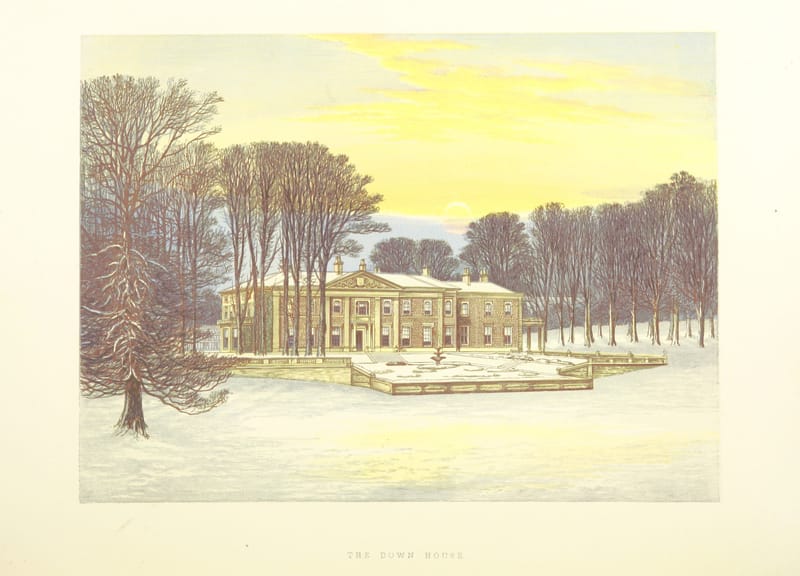 A low white house among tall trees under a yellow winter sky, with snow on the ground.