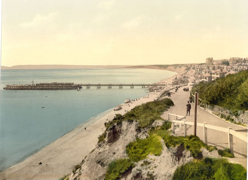 A clifftop path above a long sandy beach, with the pier reaching out into the sea.