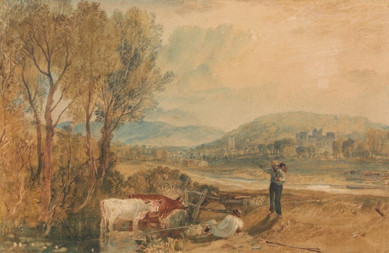 Cattle drinking at a stream under tall trees, with a man standing in a field and Lulworth Castle on the hillside beyond.