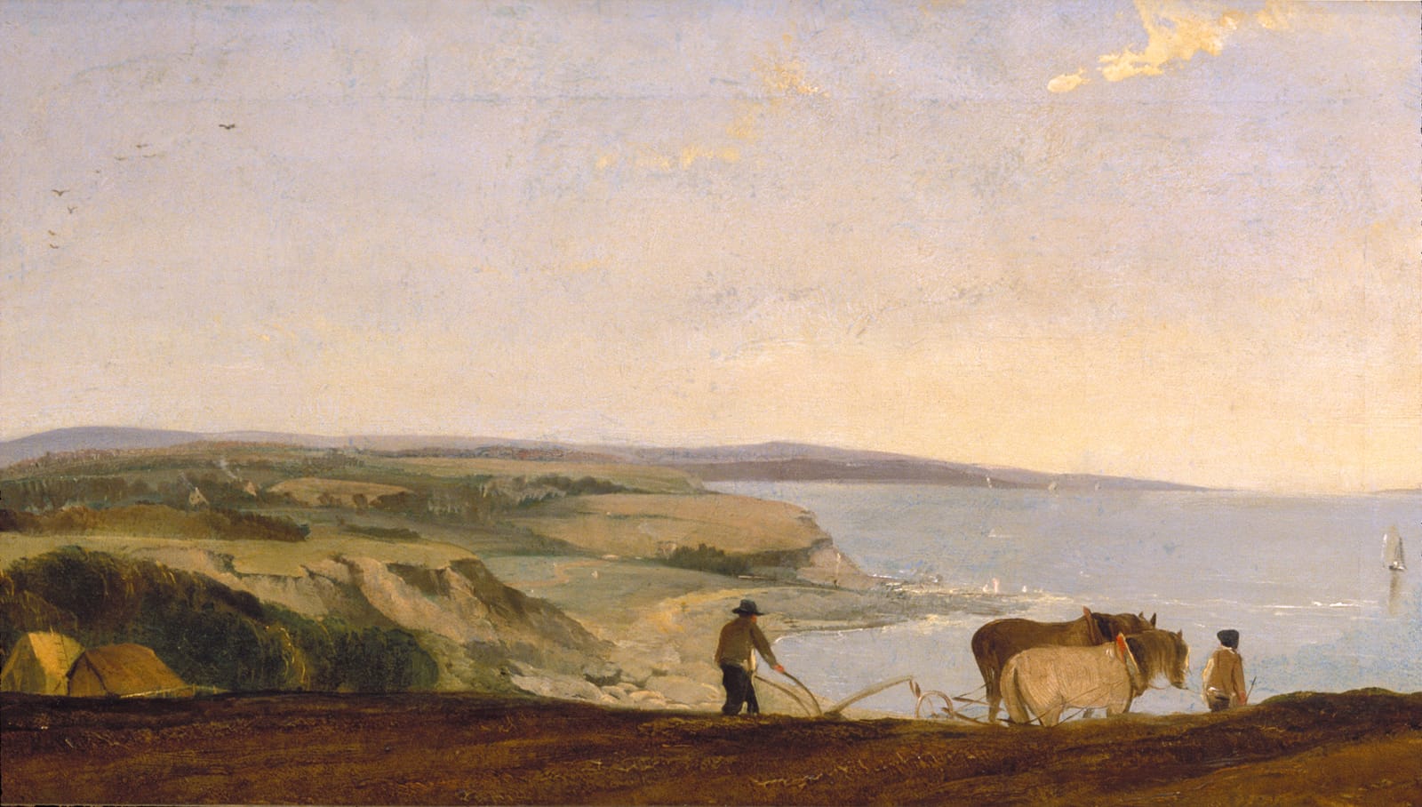 A man ploughing with a horse on a clifftop field in evening light, above a wide bay.