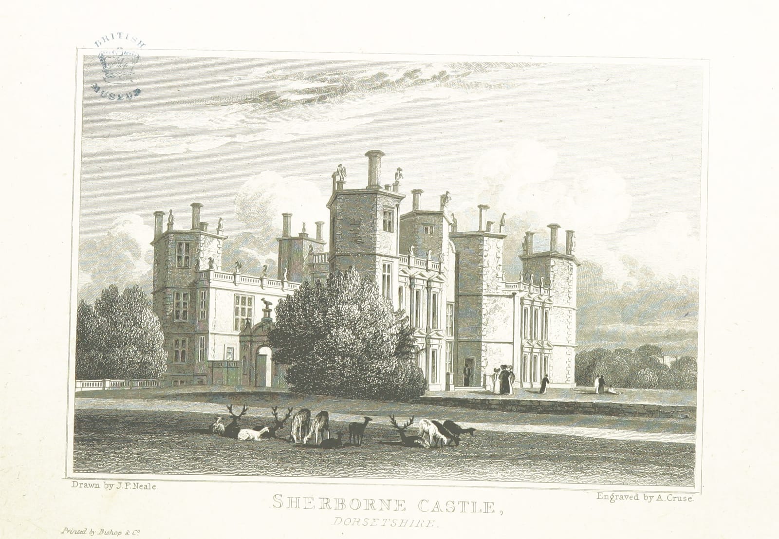 An engraving of Sherborne Castle, a turreted house, with animals grazing on the grass in front.