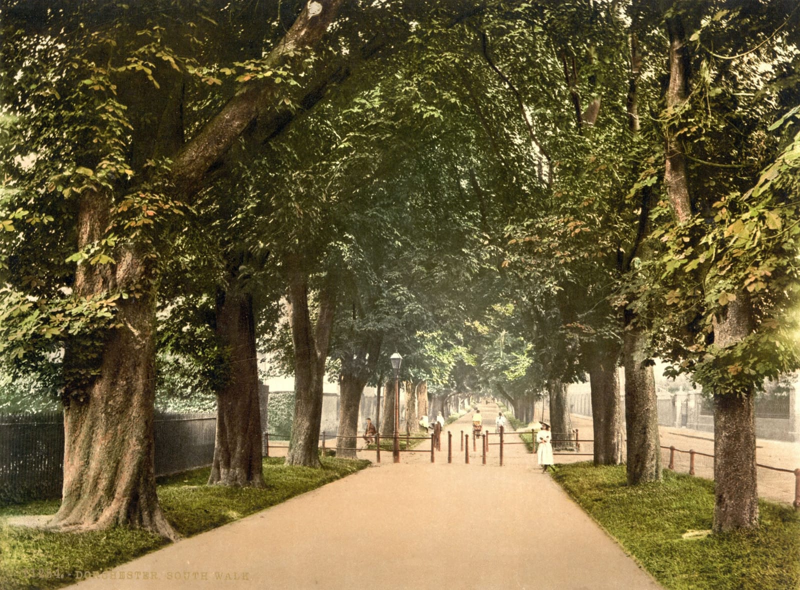 A broad gravel walk under an avenue of tall trees, with a few people strolling in the distance.