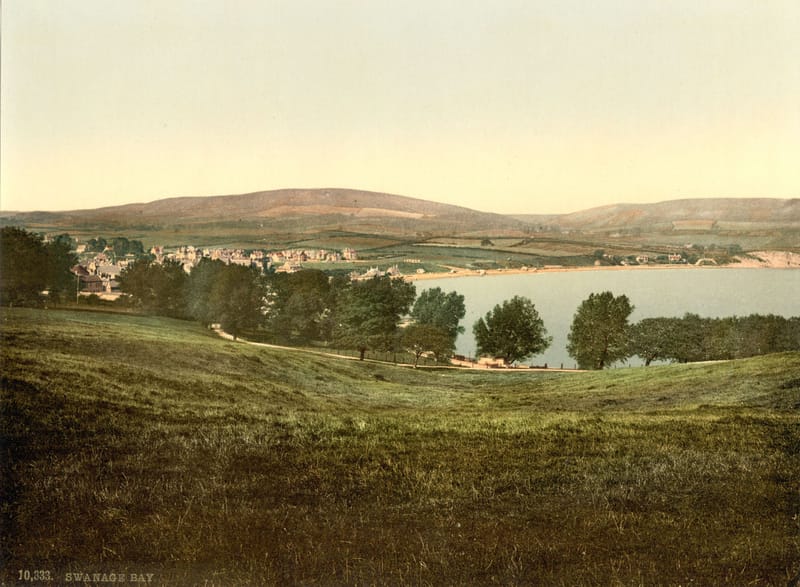 A grassy slope with trees, looking over the bay to the town of Swanage and the downs behind.