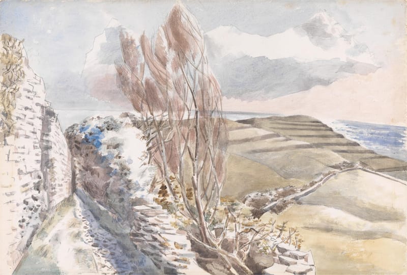 A stone wall and a wind-bent tree on a cliff path, with terraced fields running down to the sea.