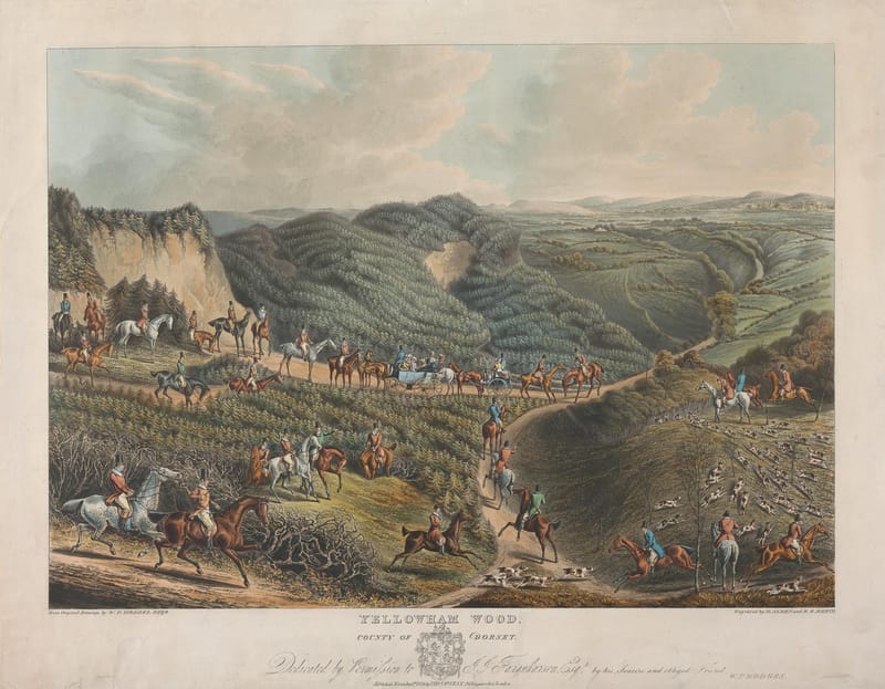 Huntsmen in red coats galloping with hounds across a valley below Yellowham Wood.